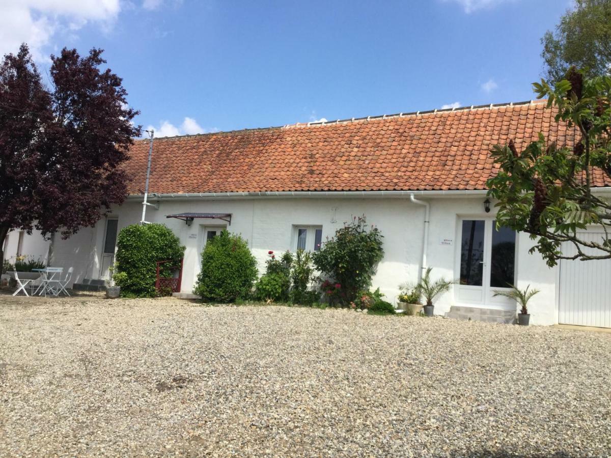 Gites Les Amis De L Authie Maintenay Exterior foto
